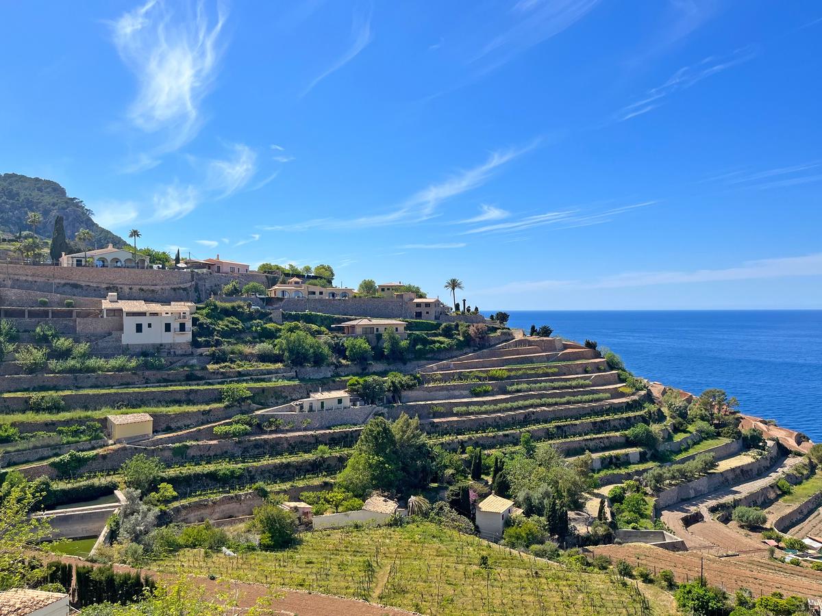 View of the Banyalbufar terraces down to the sea
