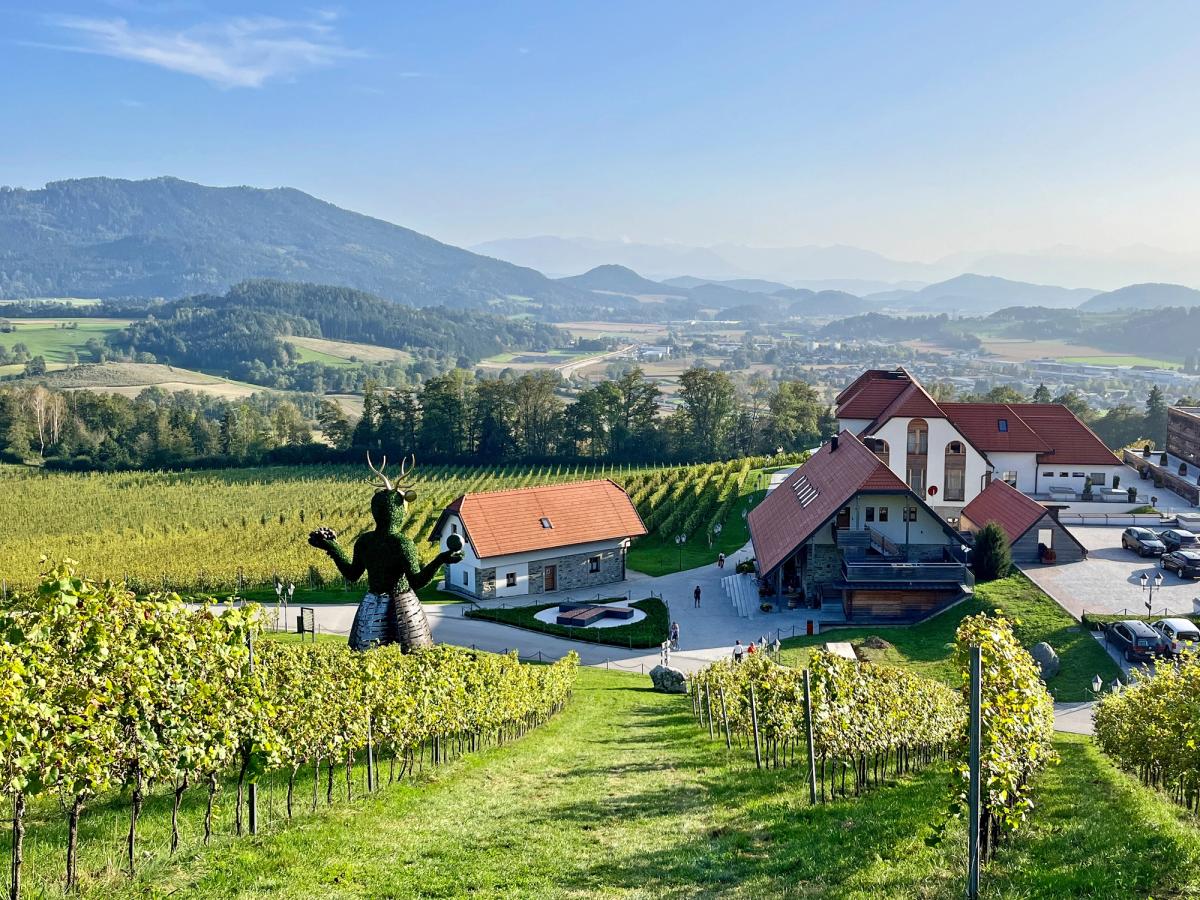 Taggenbrunn, a historic estate and vineyard located in Carinthia, Austria