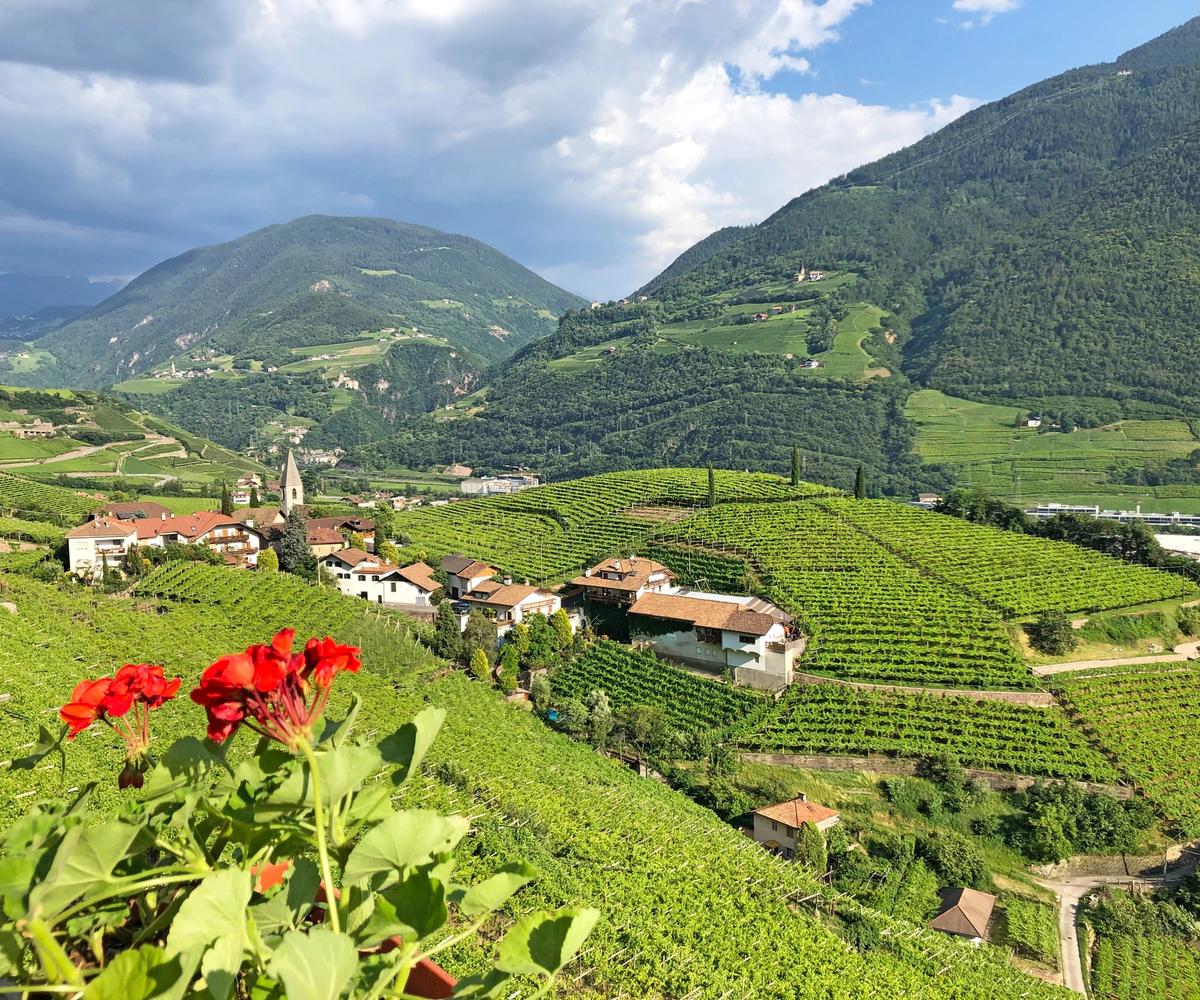 A view of Lake Garda cycling through the vineyards