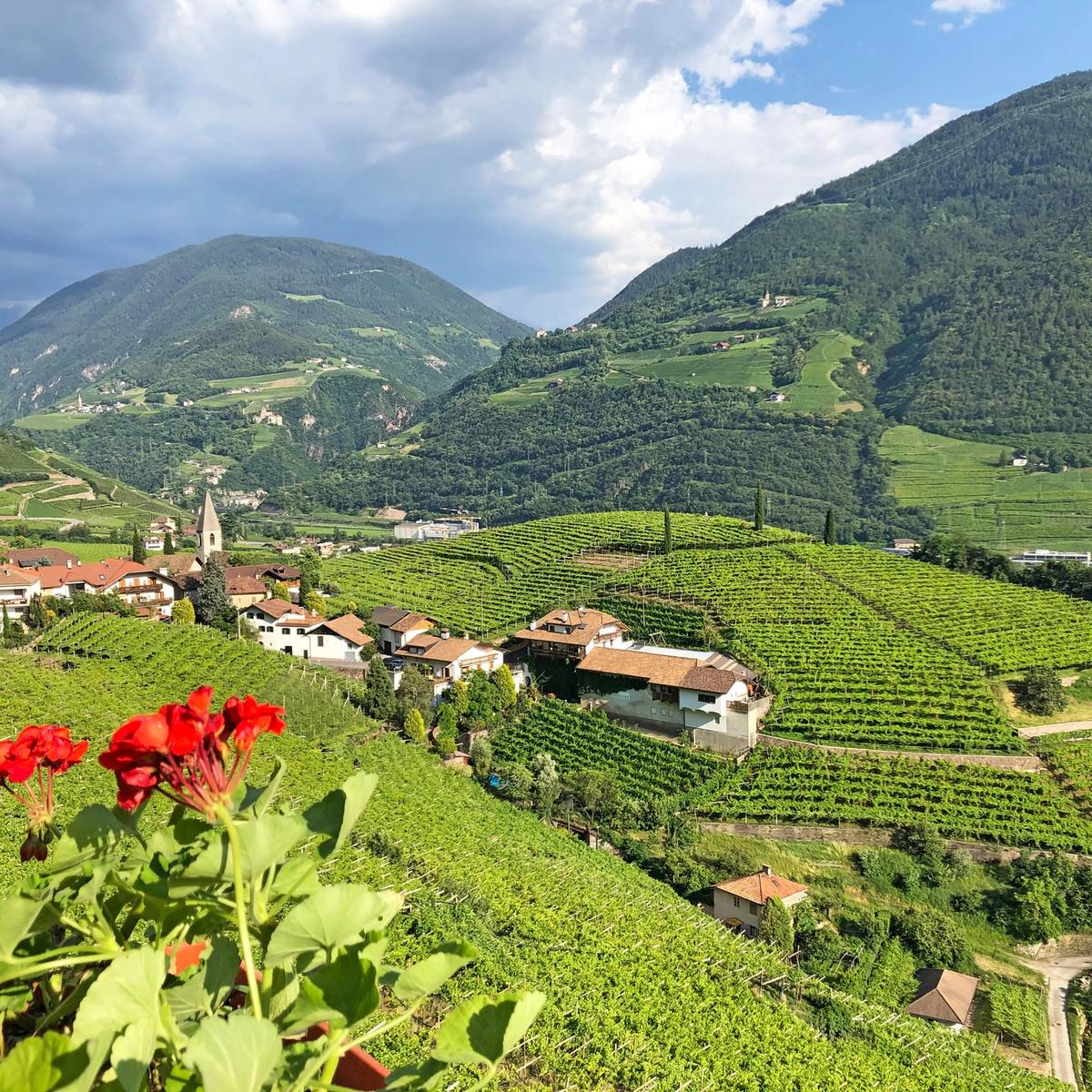 A view of Lake Garda cycling through the vineyards