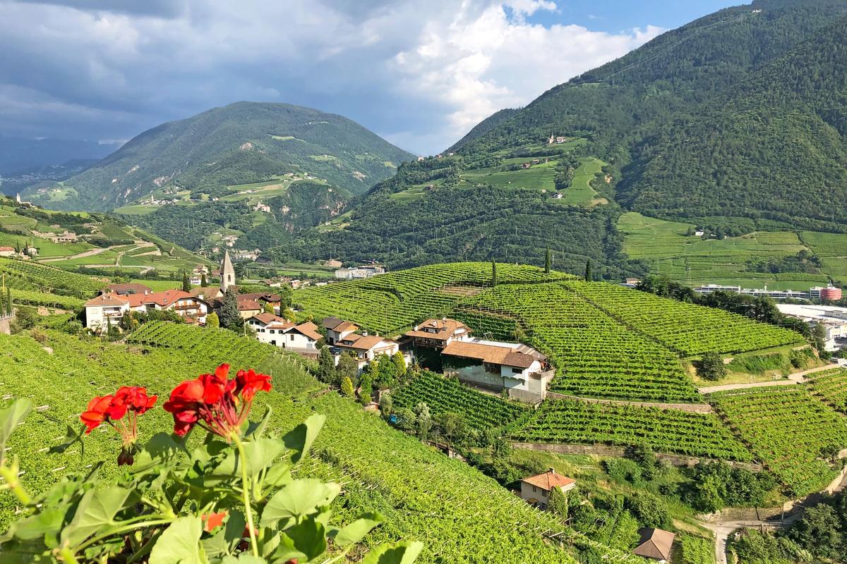 A view of Lake Garda cycling through the vineyards