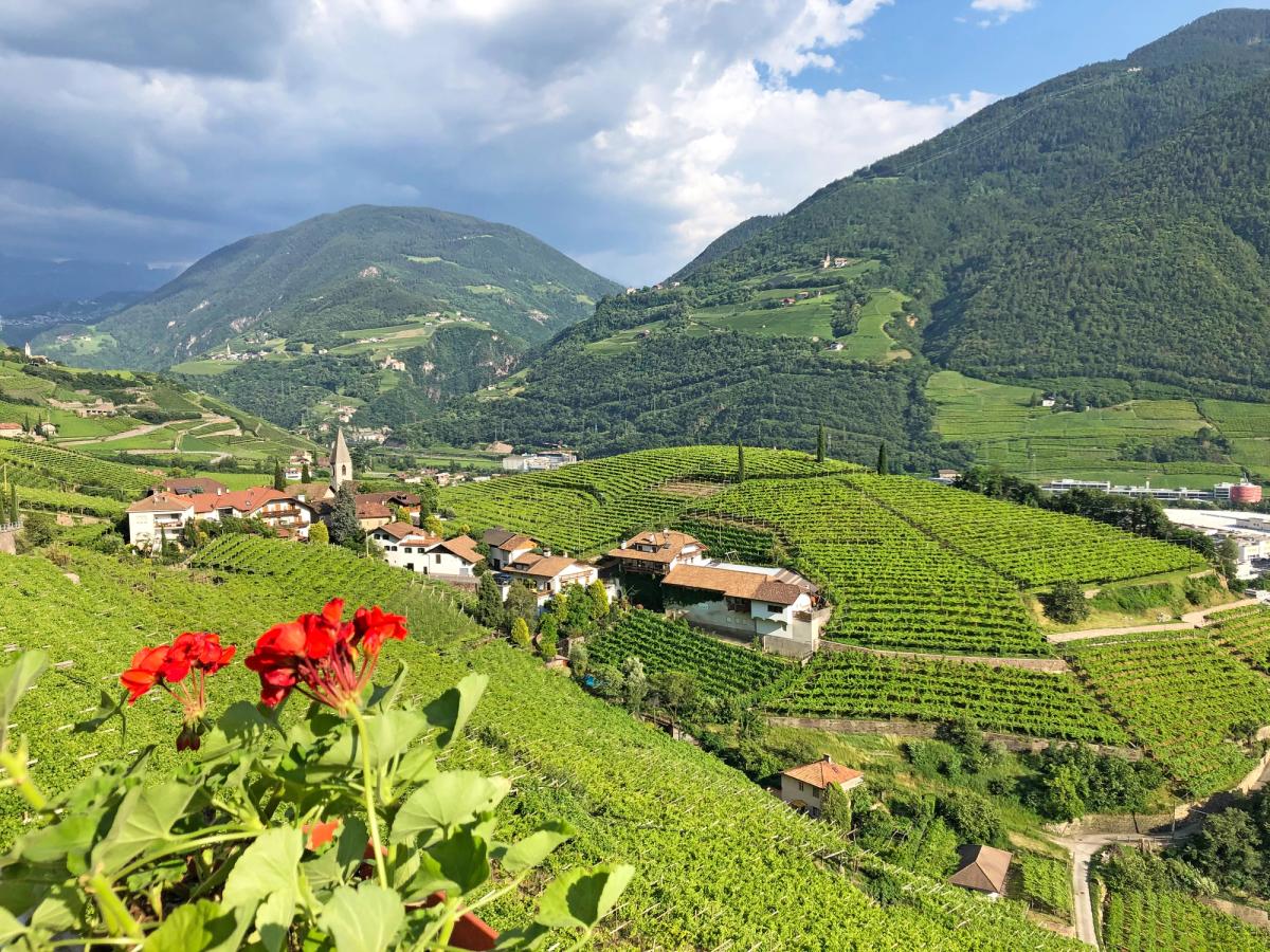 A view of Lake Garda cycling through the vineyards