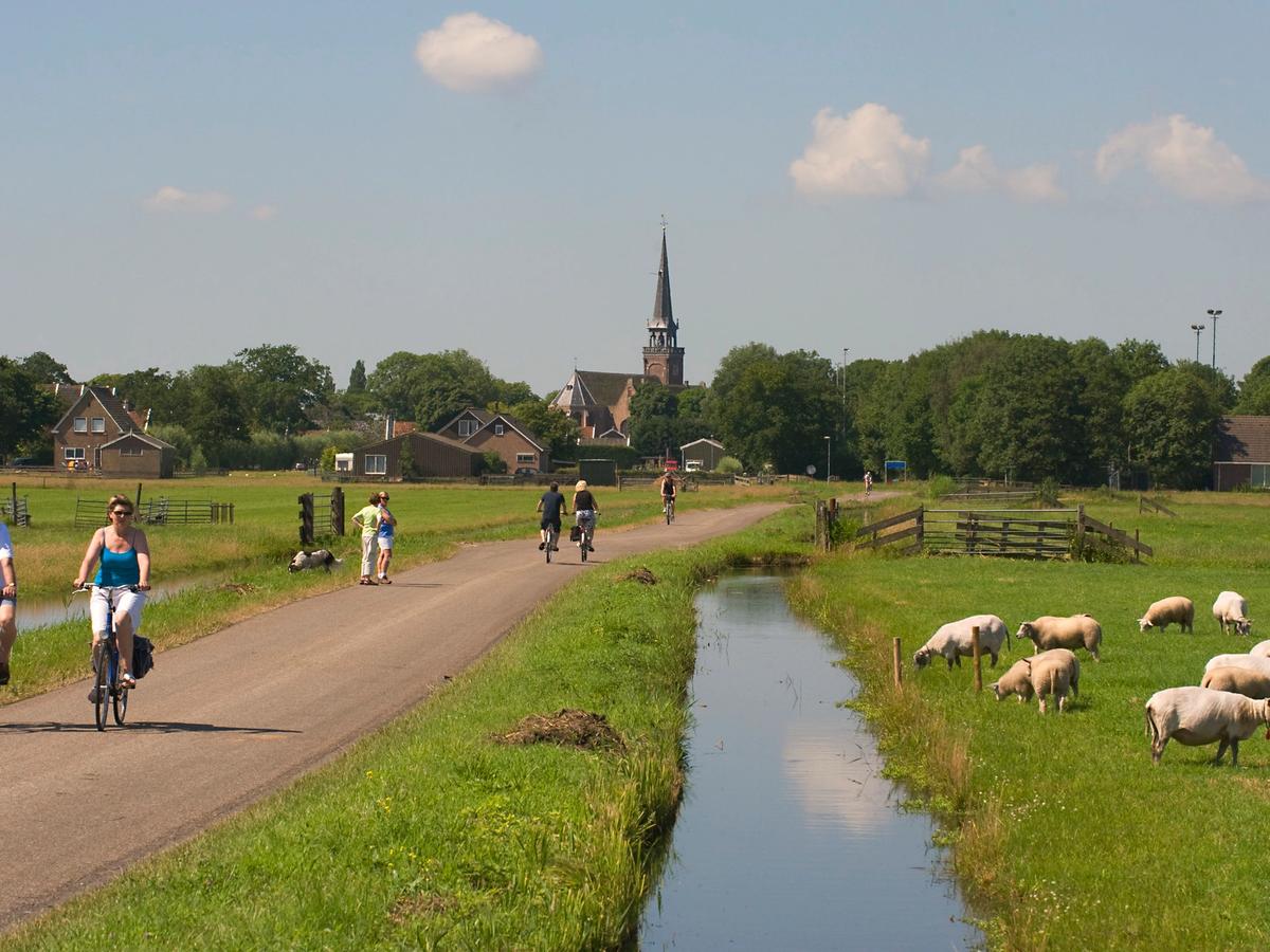 scenic landscape in the Netherlands, likely along a cycling route near the IJsselmeer, formerly known as the Zuiderzee