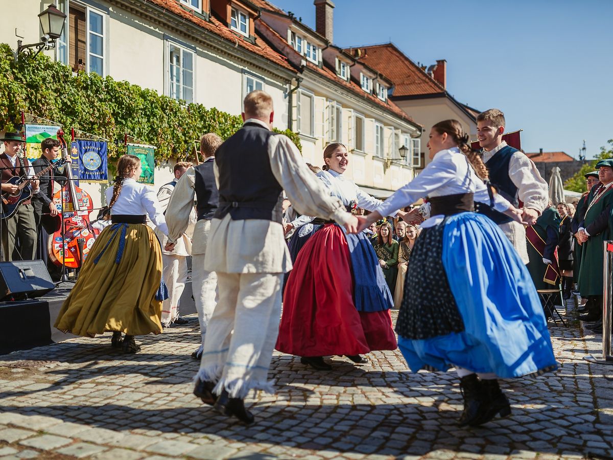 the Old Vine Festival in Maribor, Slovenia. The festival is a tribute to the world's oldest grapevine, which is over 450 years old and grows in the city's oldest part, Lent