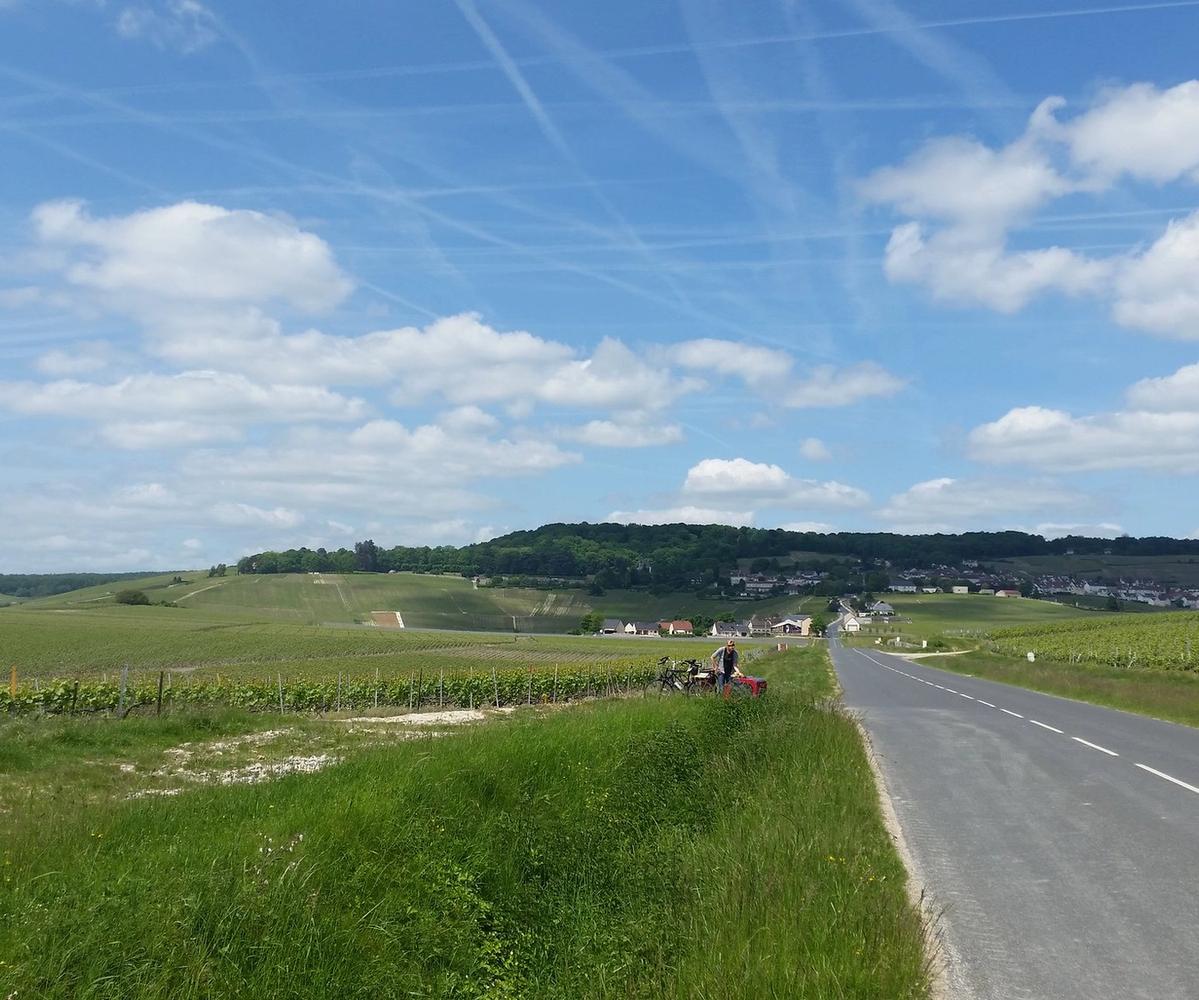Champagne vineyards near Hautvillers