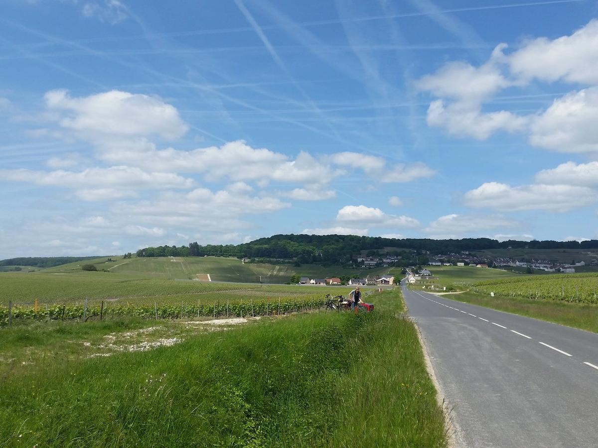 Champagne vineyards near Hautvillers