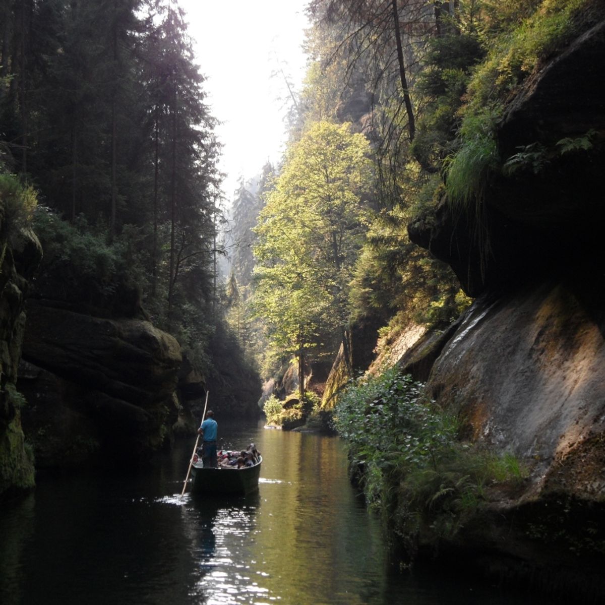 Boat trip along the River Elbe with bikes