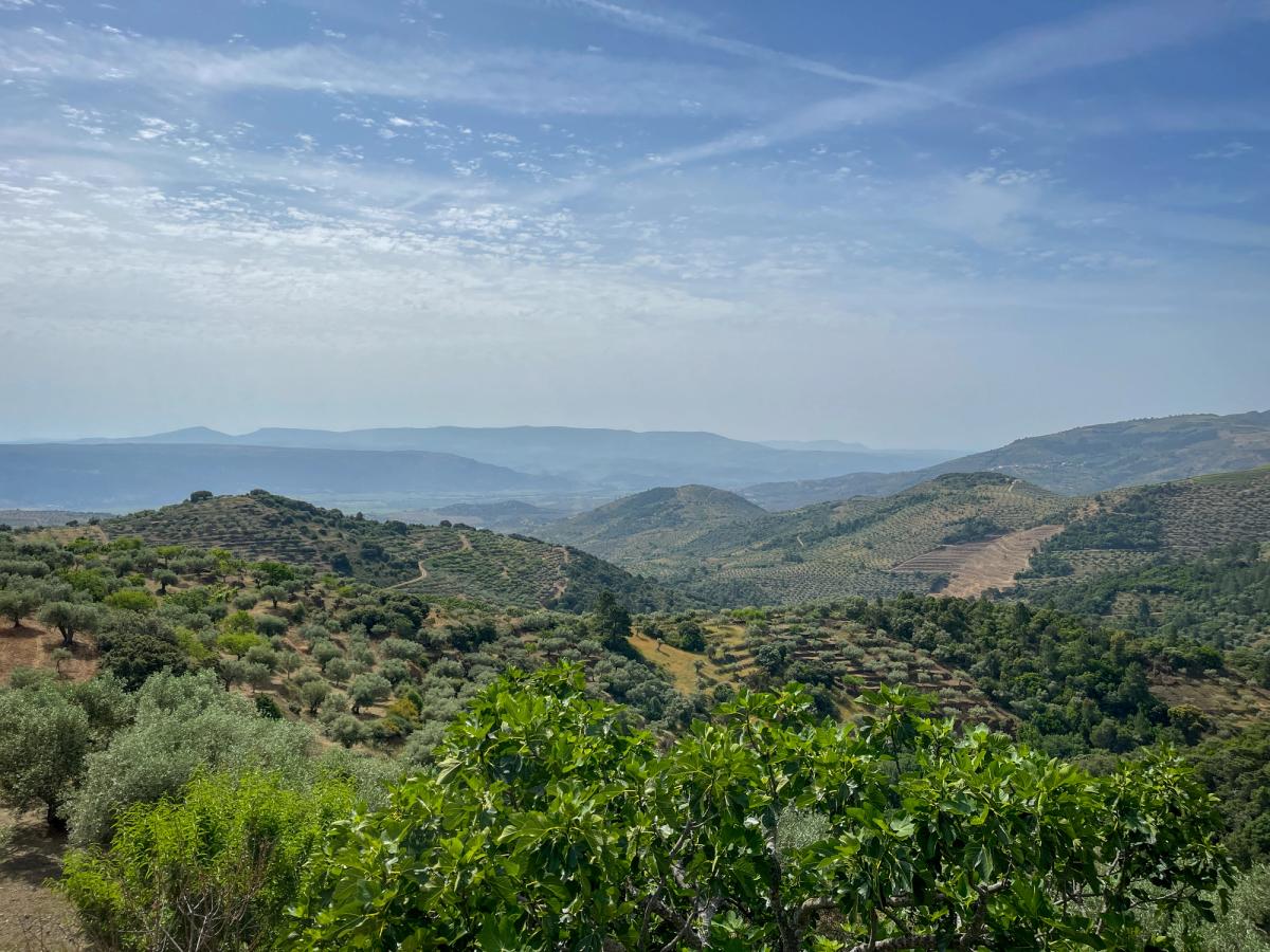 the Sierras de Cazorla, Segura y Las Villas Natural Park in Spain