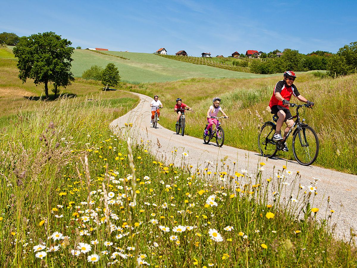 Tours in Slovenia