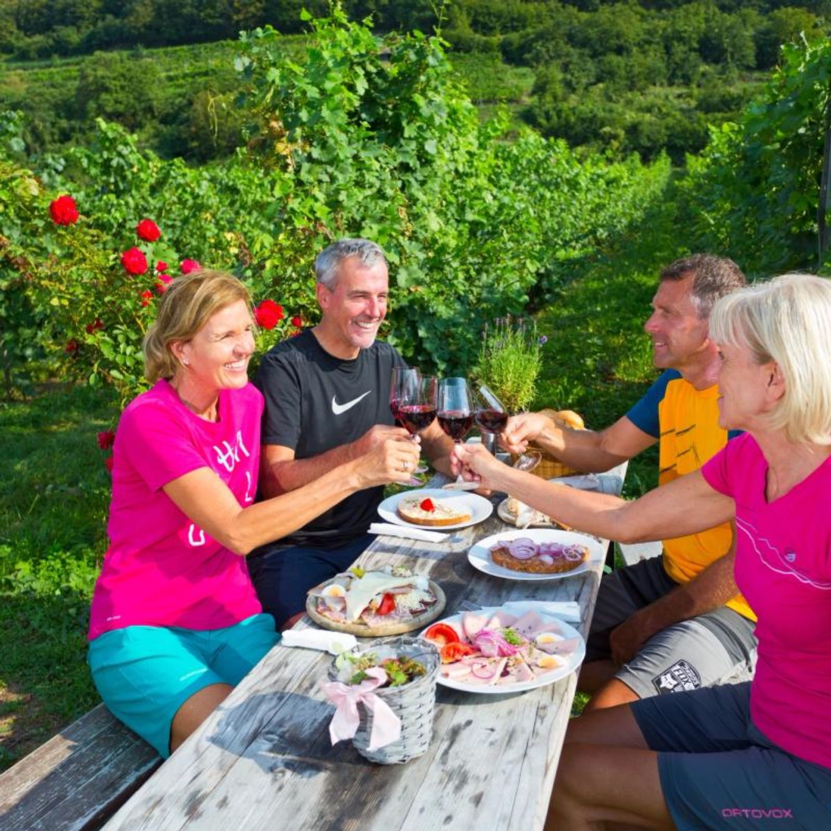 Wine Cycling Holidays