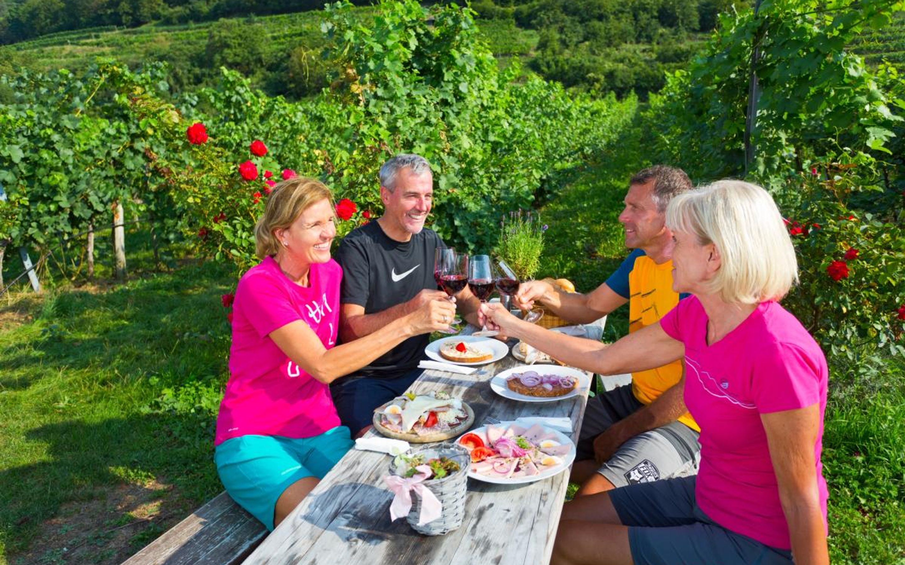 Wine Cycling Holidays