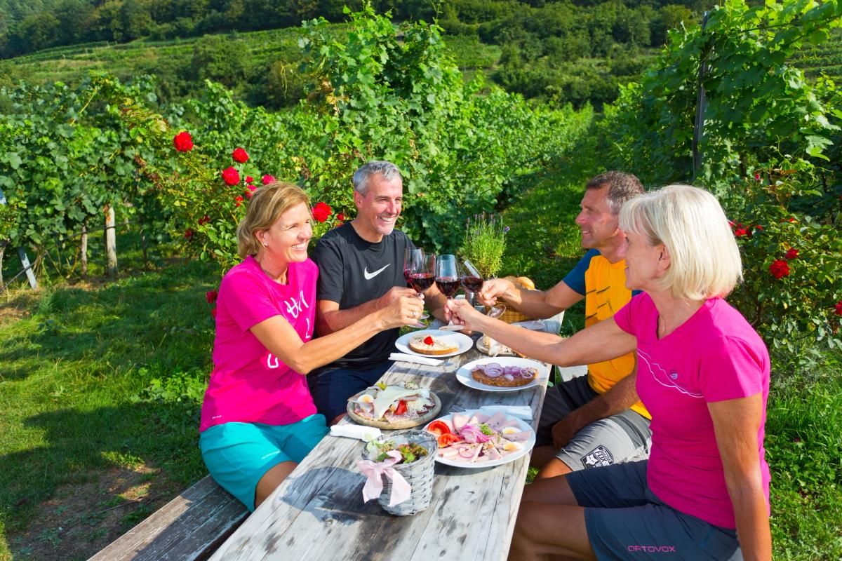 Wine Cycling Holidays