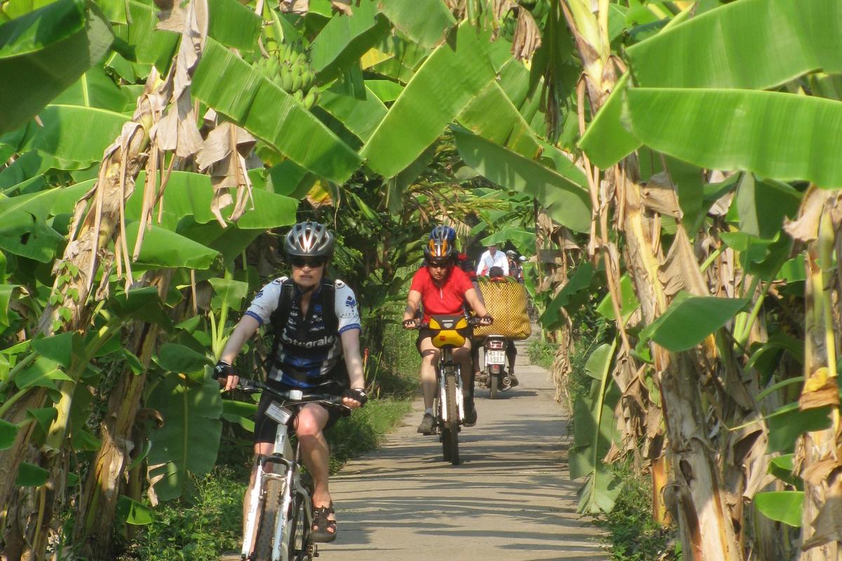 Mekong Delta