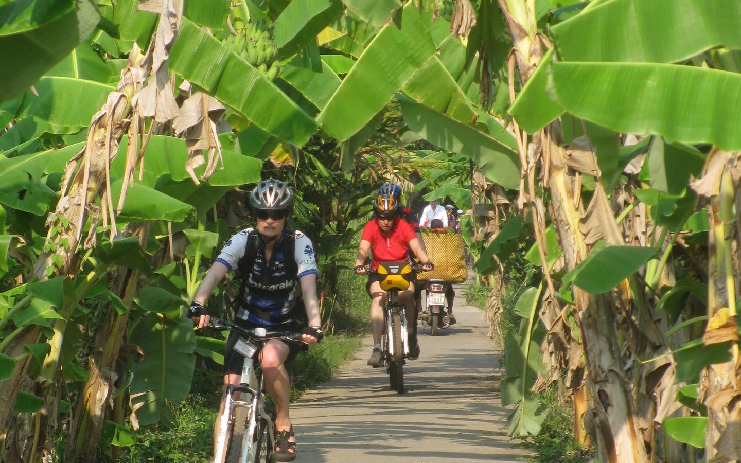 Mekong Delta