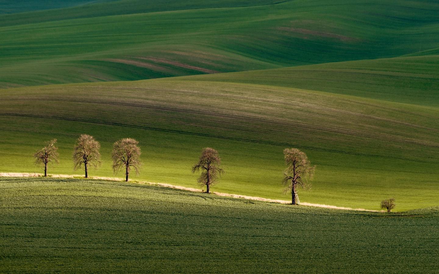 Lush green fields in Moravia, Czech Republic