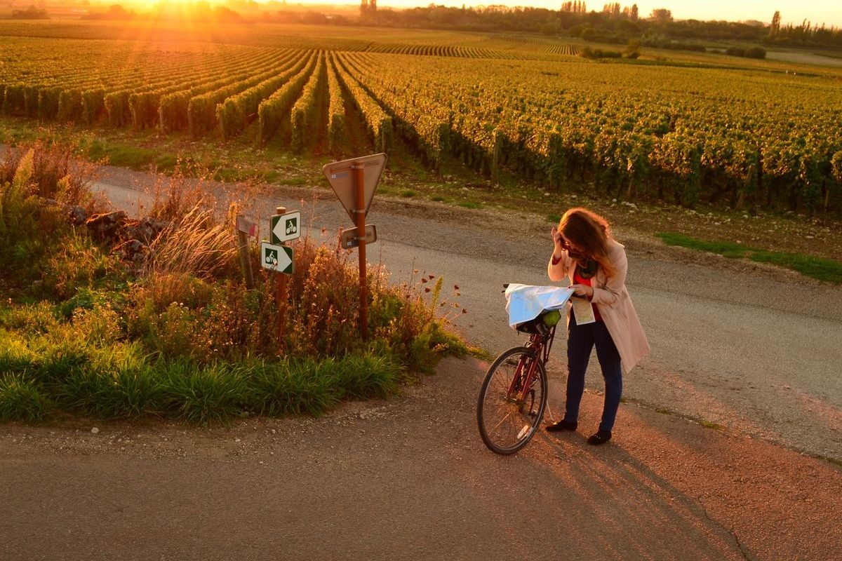Luxury cycling holidays in the vineyards 