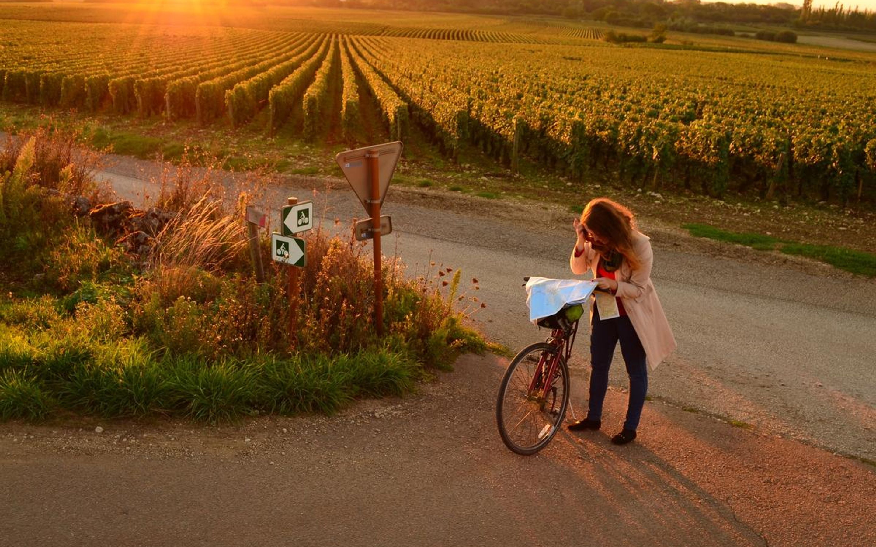 Luxury cycling holidays in the vineyards