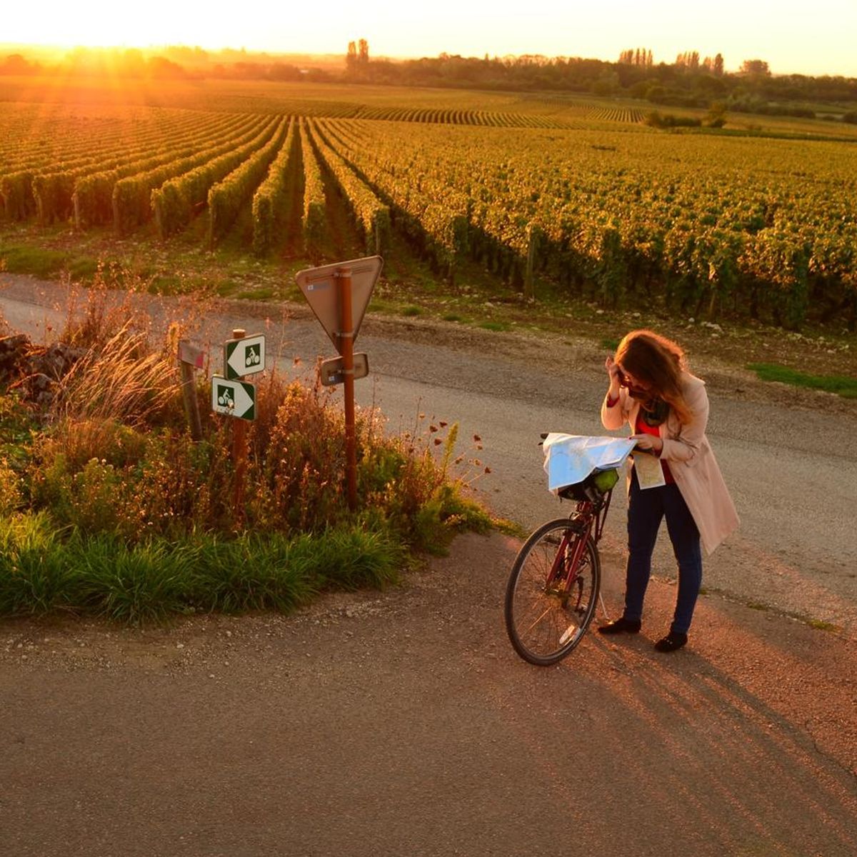 Luxury cycling holidays in the vineyards