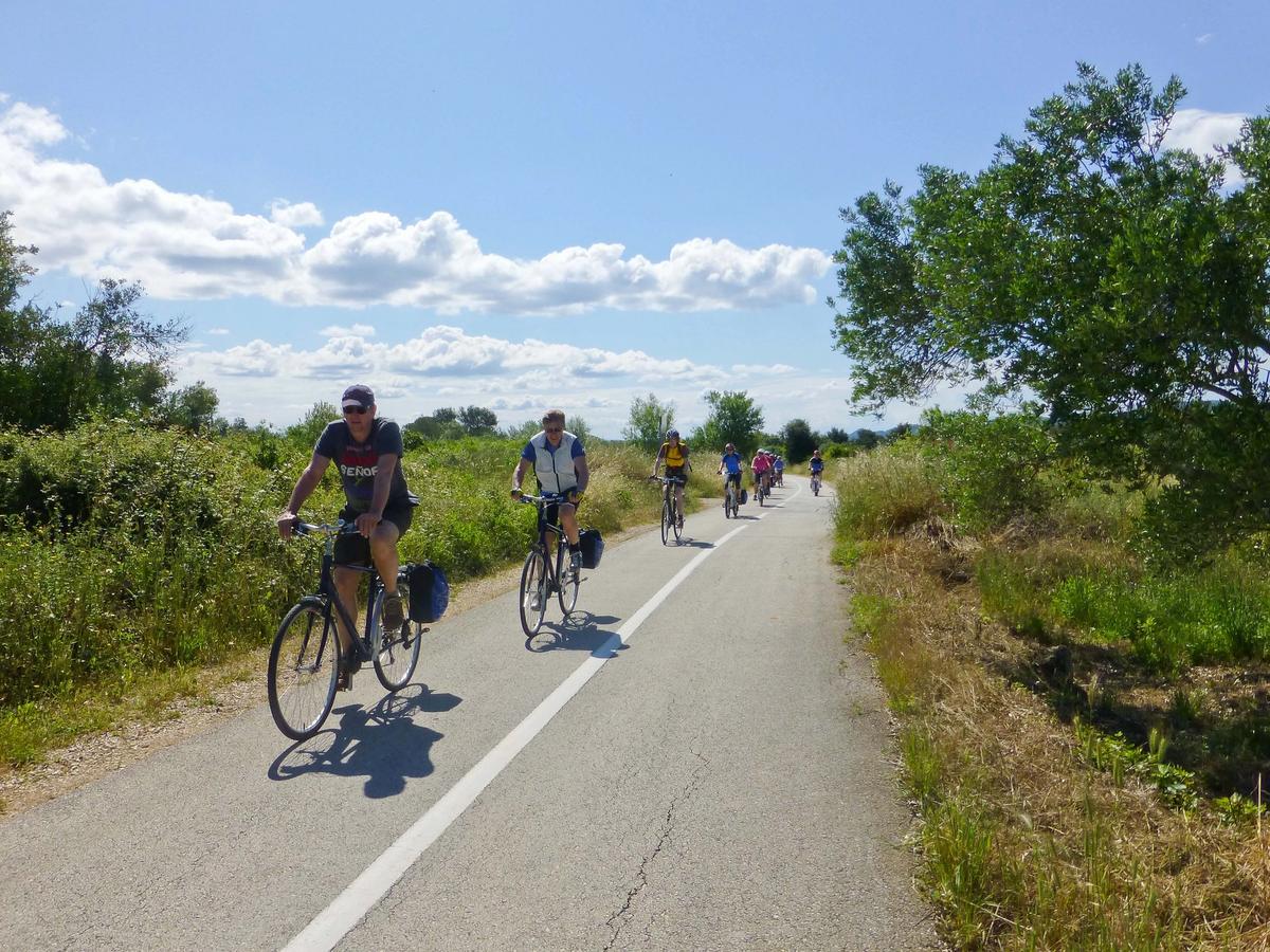 Istria cycling