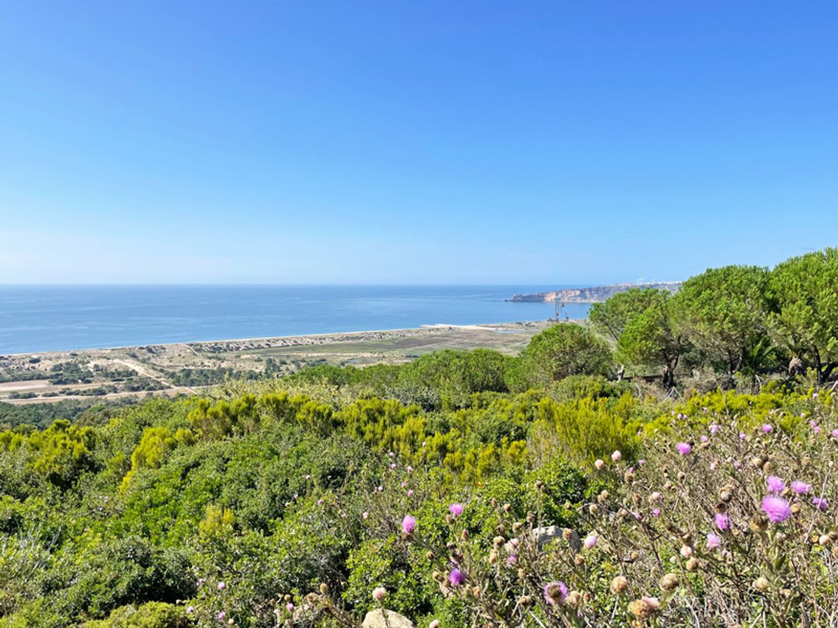 a scenic coastal view along the Atlantic coast of Portugal, possibly part of a cycling route connecting Porto and Lisbon