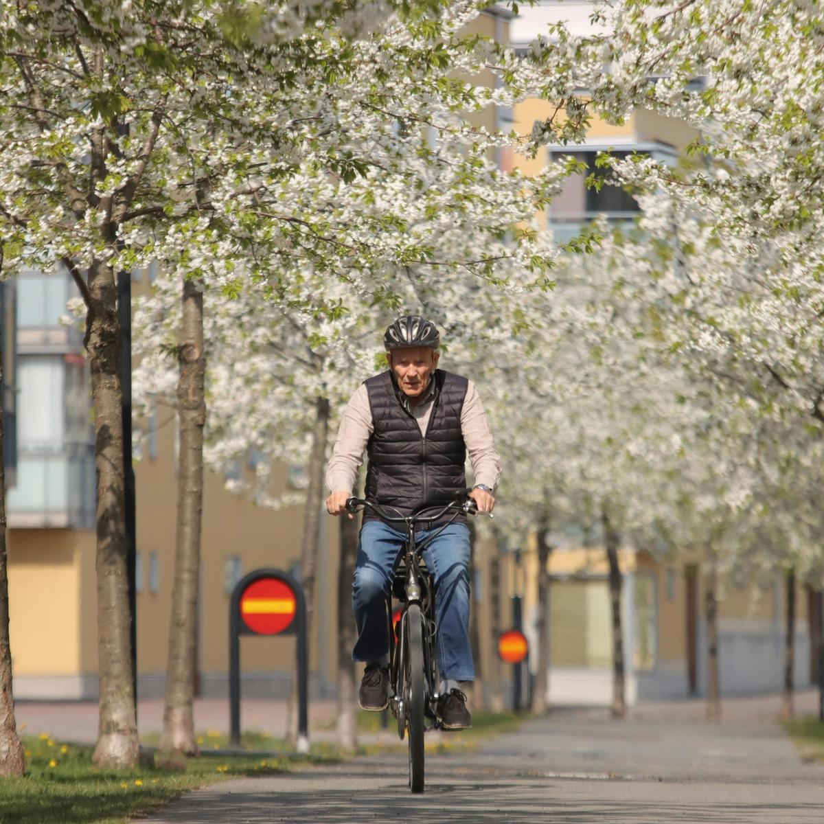Top Cycling Destinations for Travellers Over 50