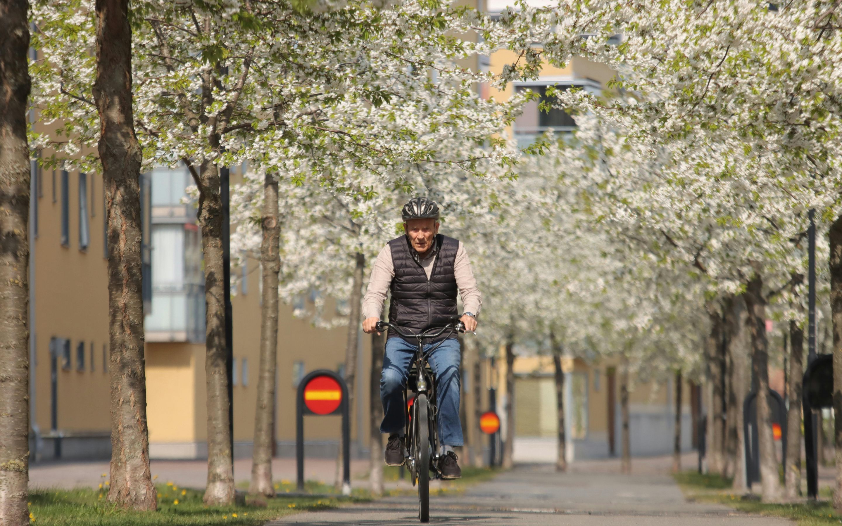 Top Cycling Destinations for Travellers Over 50