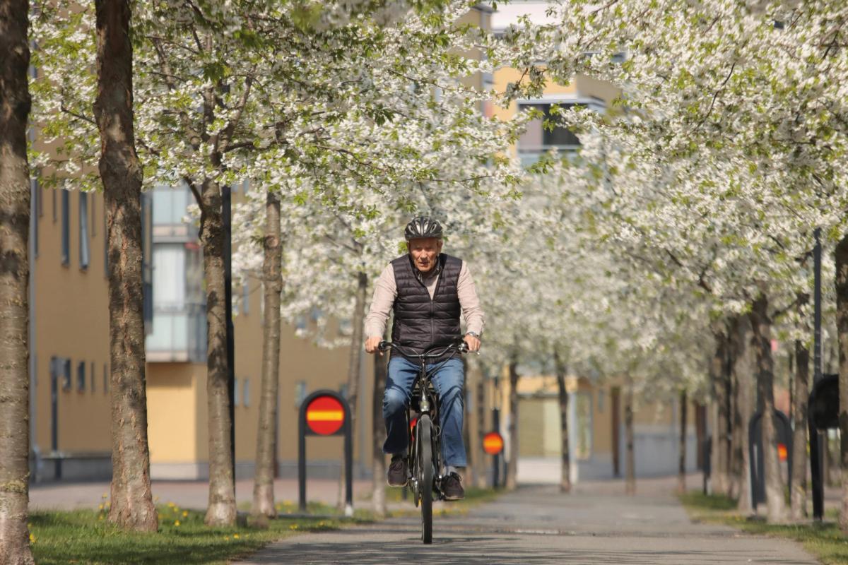 Top Cycling Destinations for Travellers Over 50