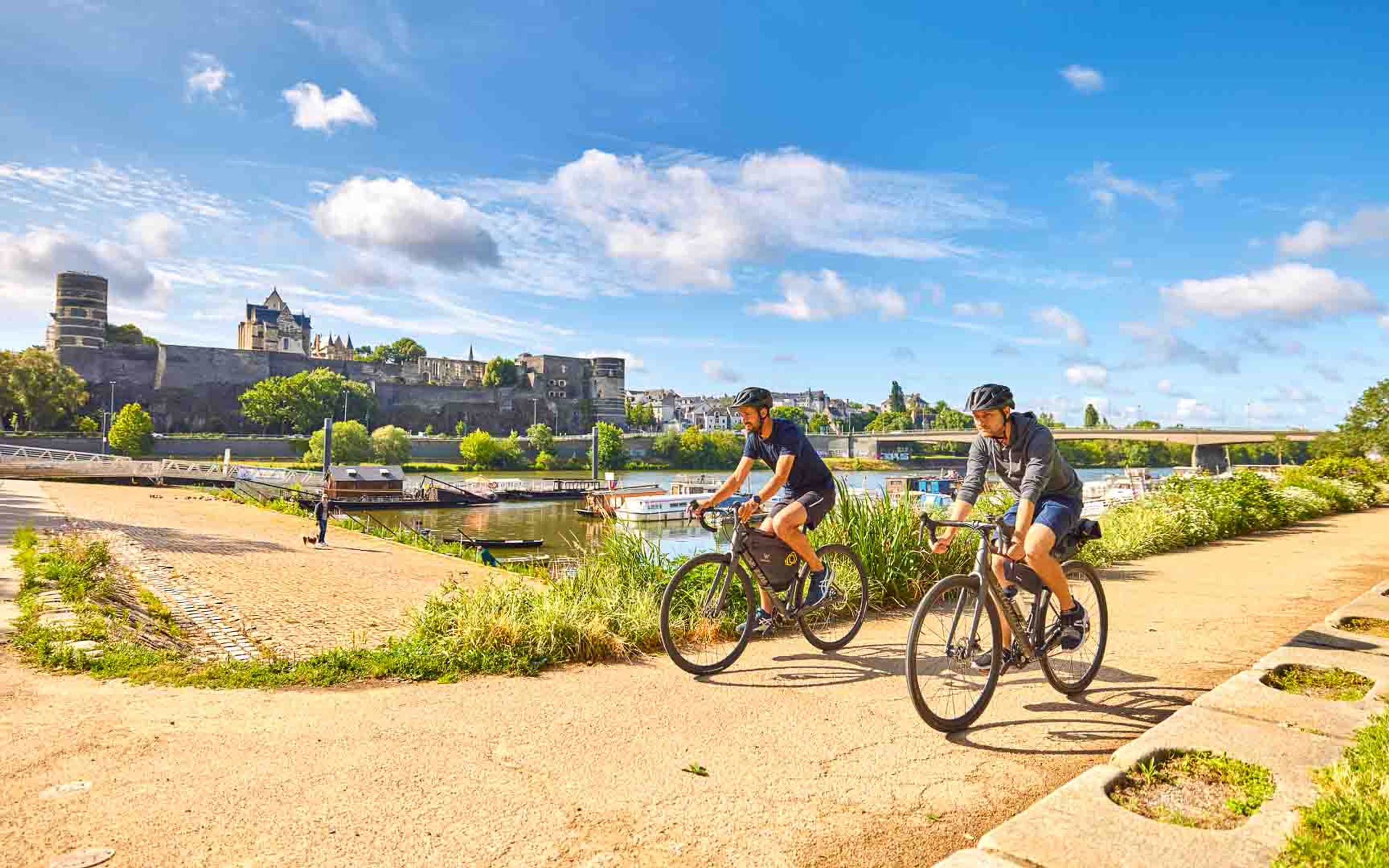 The Best Loire Valley Cycling Holidays for Wine Lovers