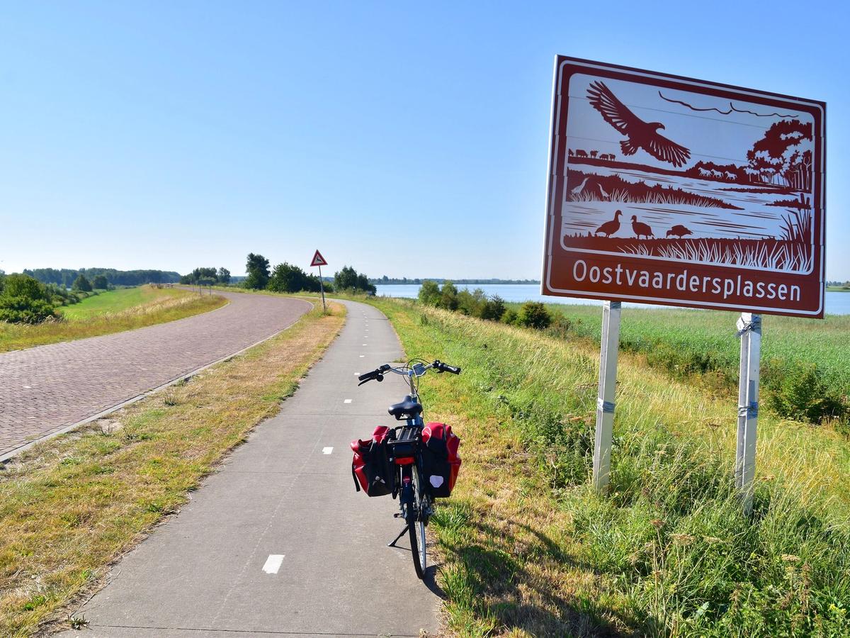 the Oostvaardersplassen, a nature reserve in the Netherlands