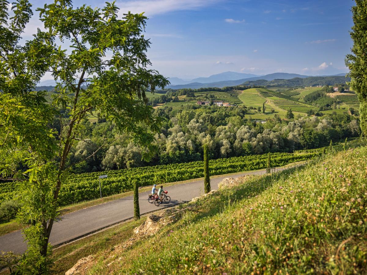 the scenic landscape of the Collio wine region in Friuli-Venezia Giulia, Italy