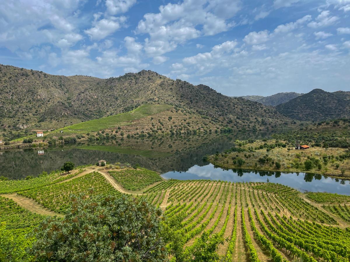 the Douro Valley in Portugal, a renowned wine region known for its stunning terraced vineyards and the Douro River