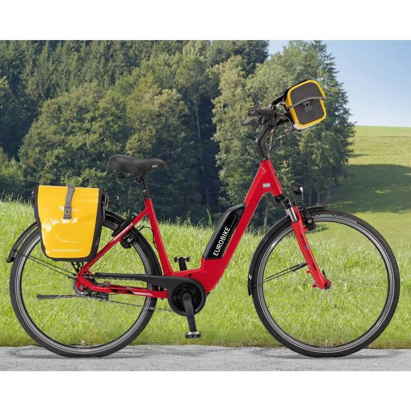 Electric Touring Bike