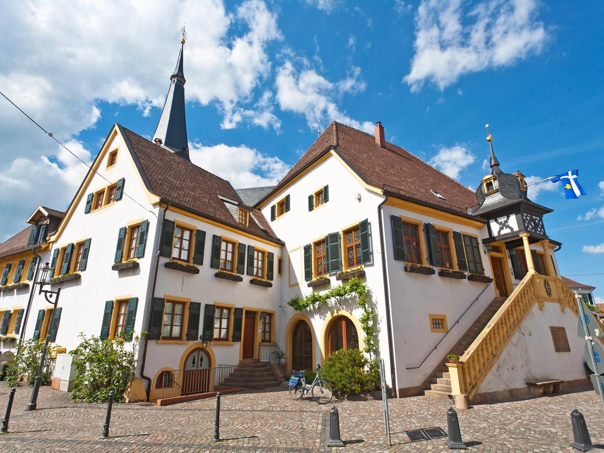 Wine tour of the Deidesheim House