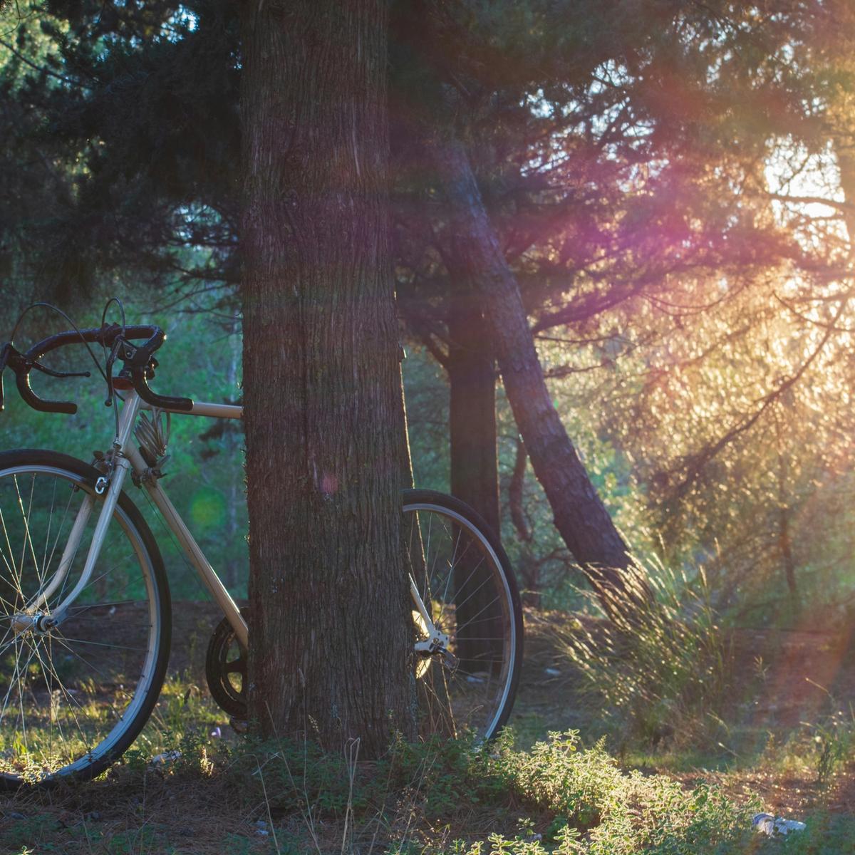 Cycling in nature