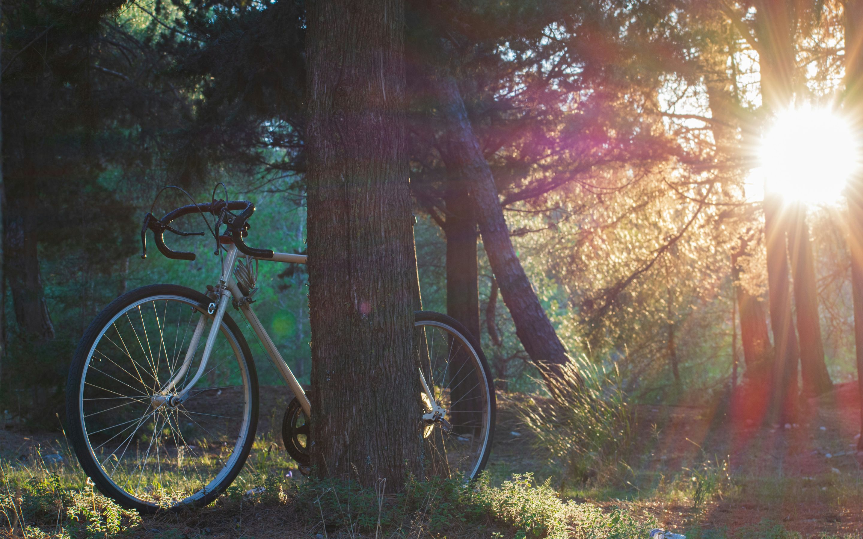 Cycling in nature
