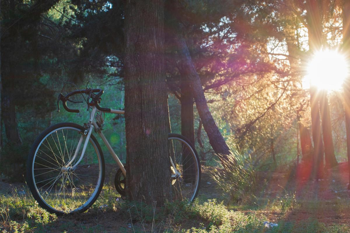 Cycling in nature
