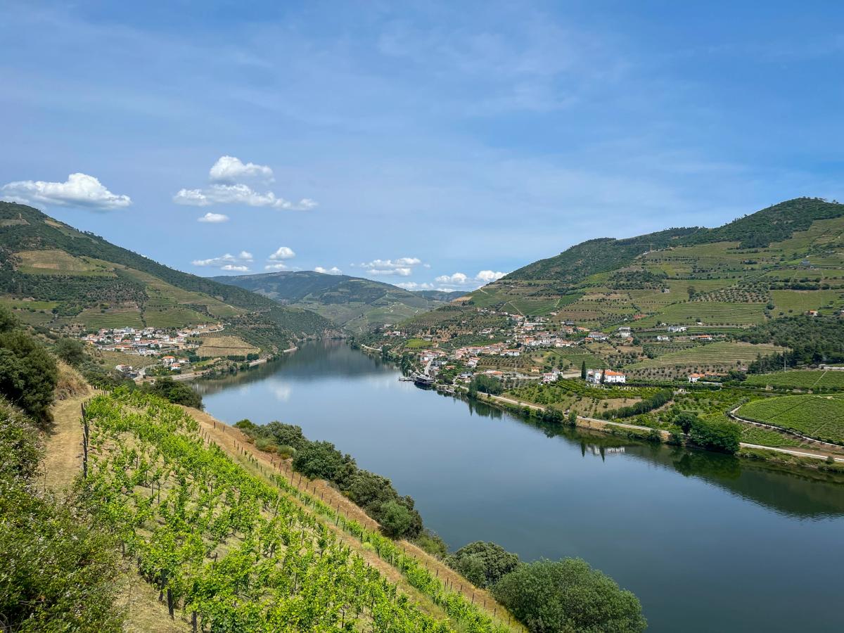 the Douro River winding through the Douro Valley in Portugal, a renowned wine region