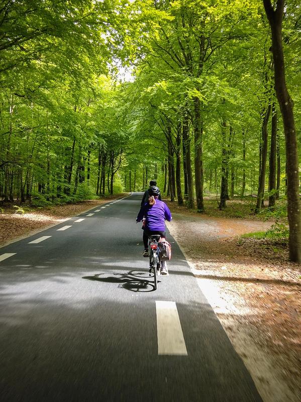 Cycling in the Danish forests