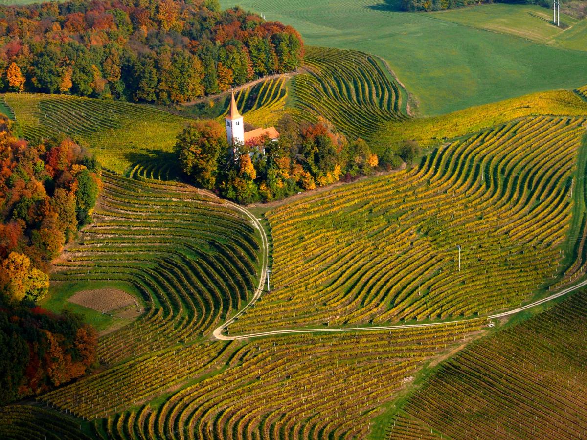 the Jeruzalem Church, located in the village of Zavrč, Slovenia. The church is situated in the Podravje wine-growing region, which is known for its terraced vineyards and fine white wines