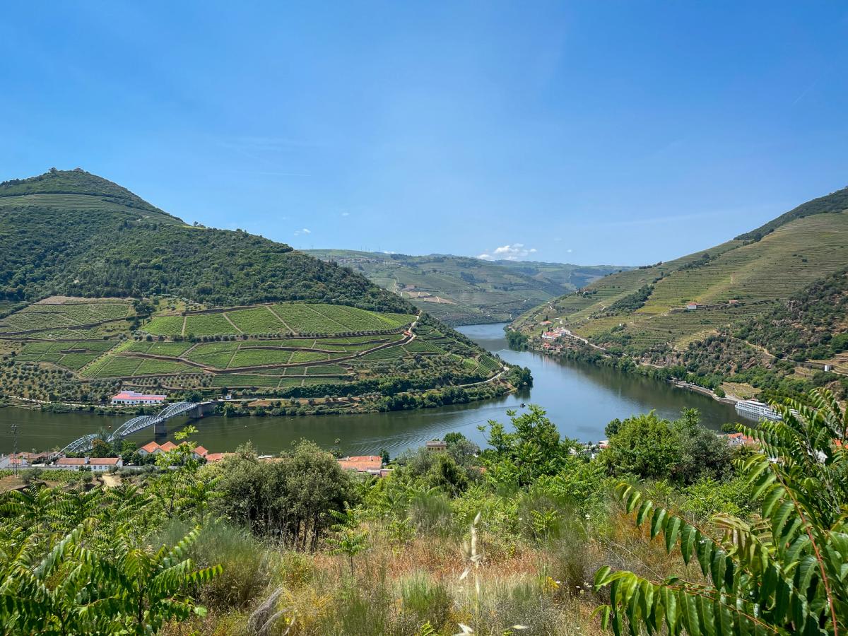 the Douro Valley in Portugal, a UNESCO World Heritage site known for its terraced vineyards and the Douro River