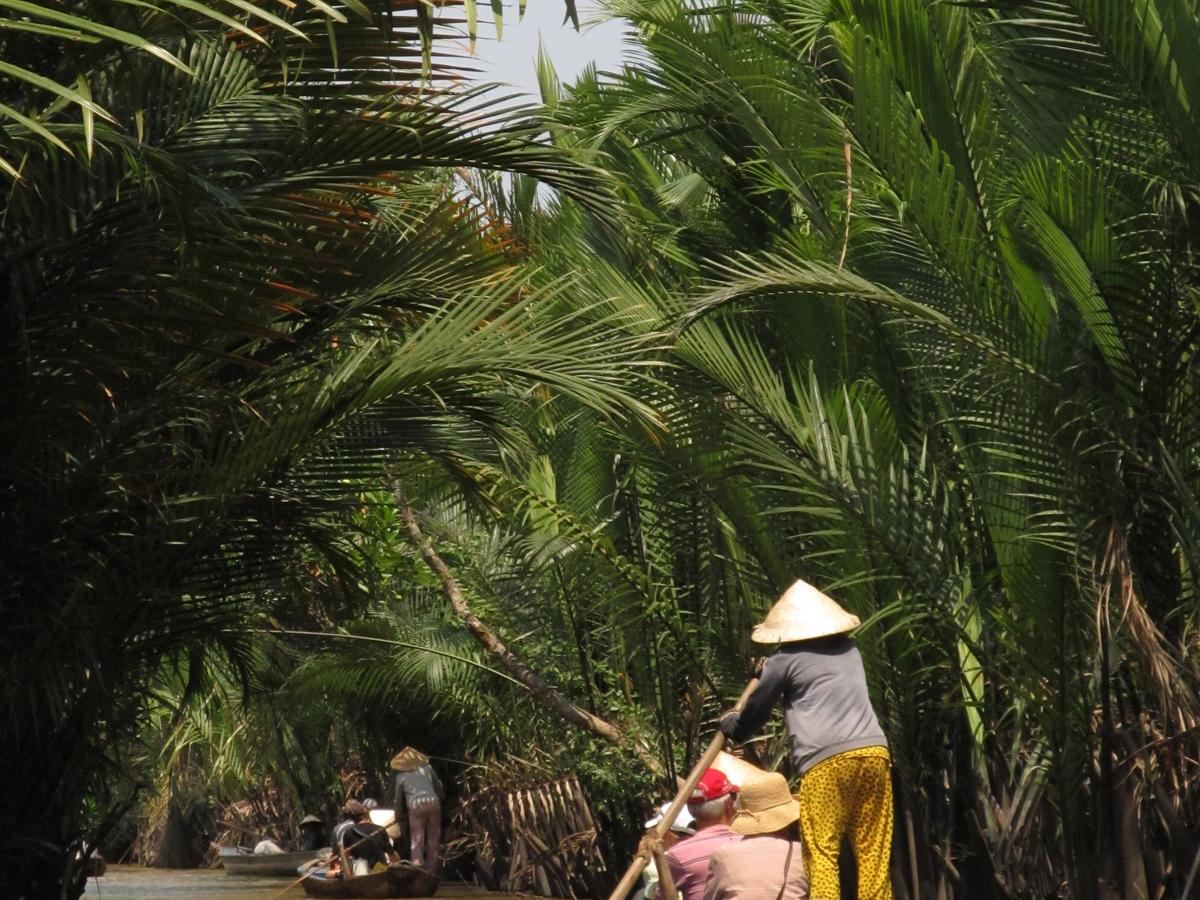 a scene from the Mekong Delta, a vast river wonderland in Southeast Asia, particularly known for its intricate network of waterways and lush landscapes