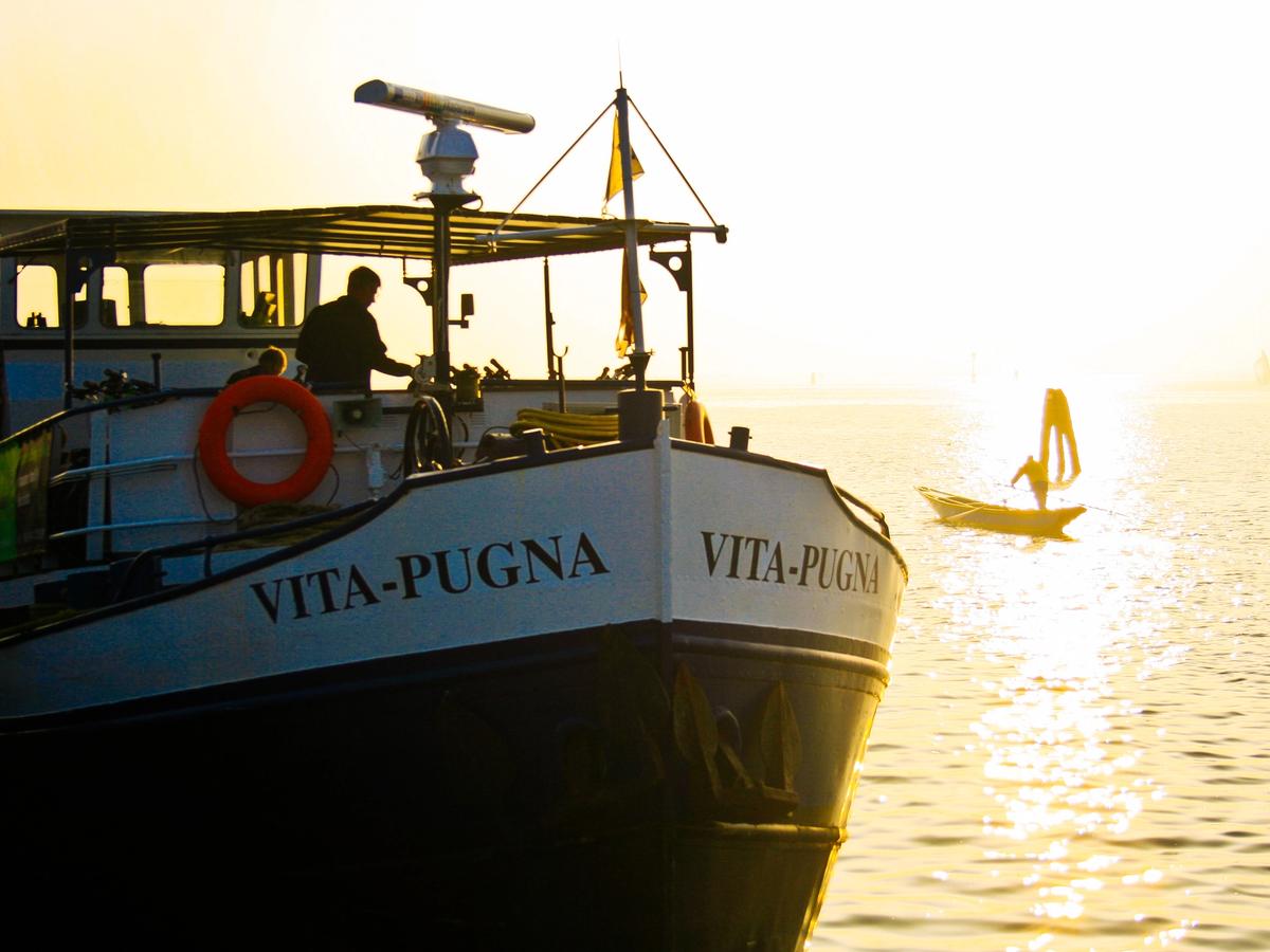 Vita Pugna at sunset
