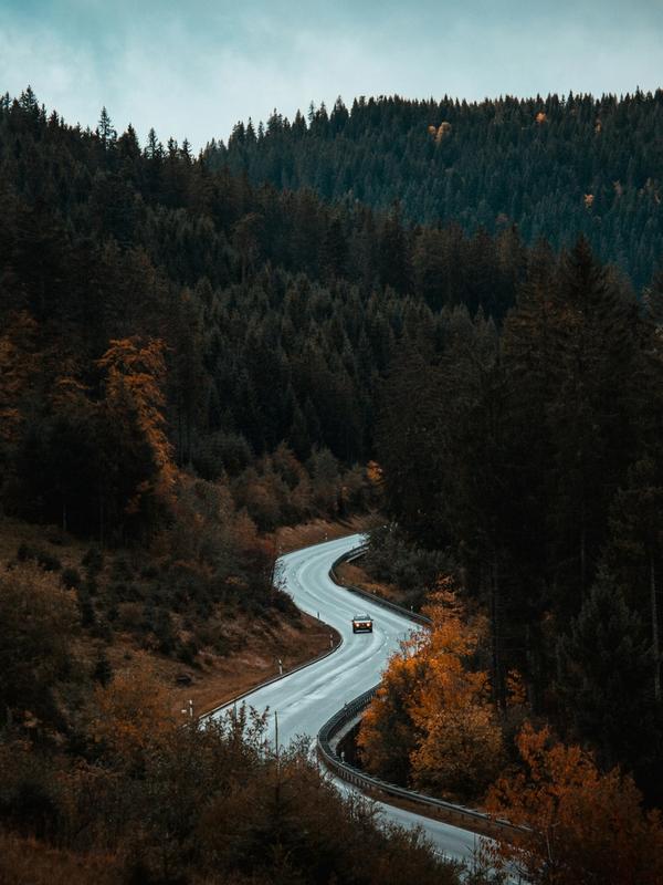 The Black Forest, Germany