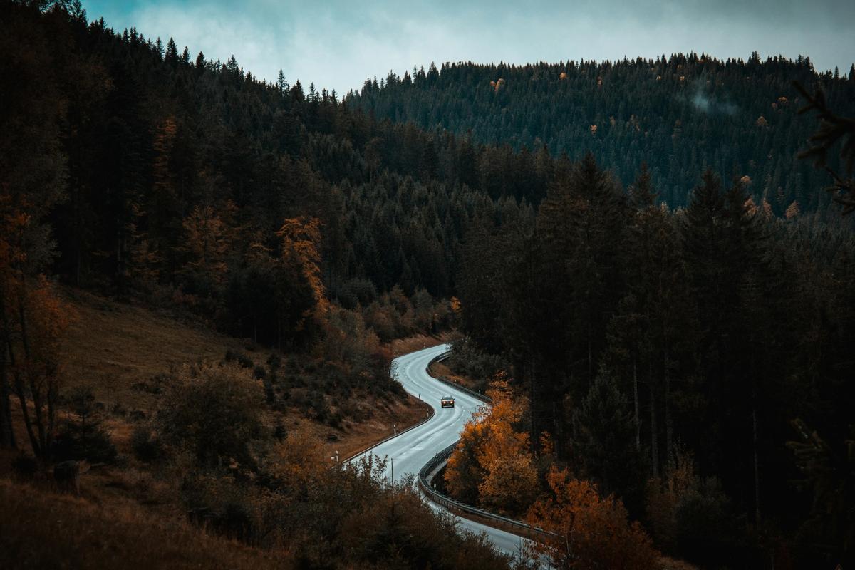 The Black Forest, Germany