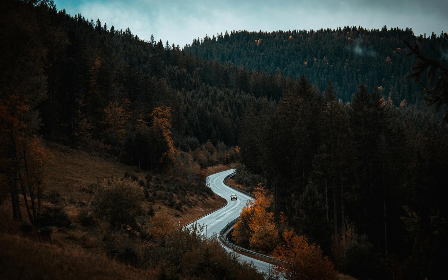 The Black Forest, Germany