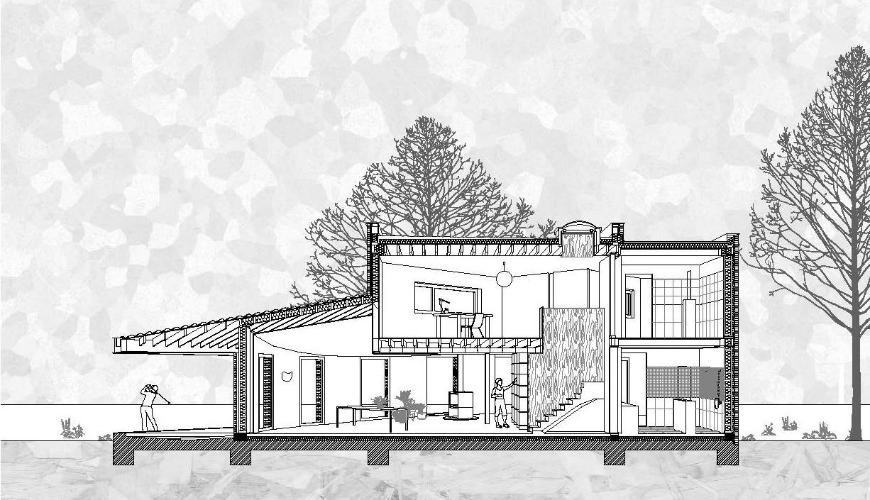 Architectural section through the house and its wooded site
