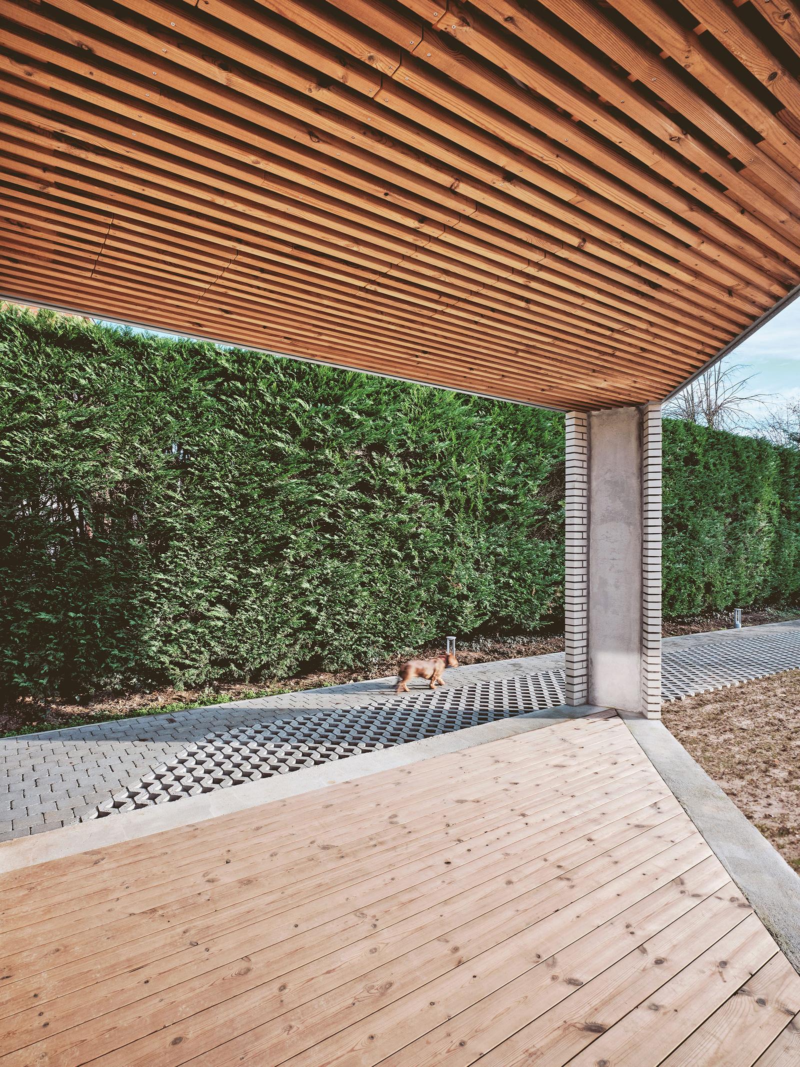 Timber-lined soffit sheltering the poolside terrace