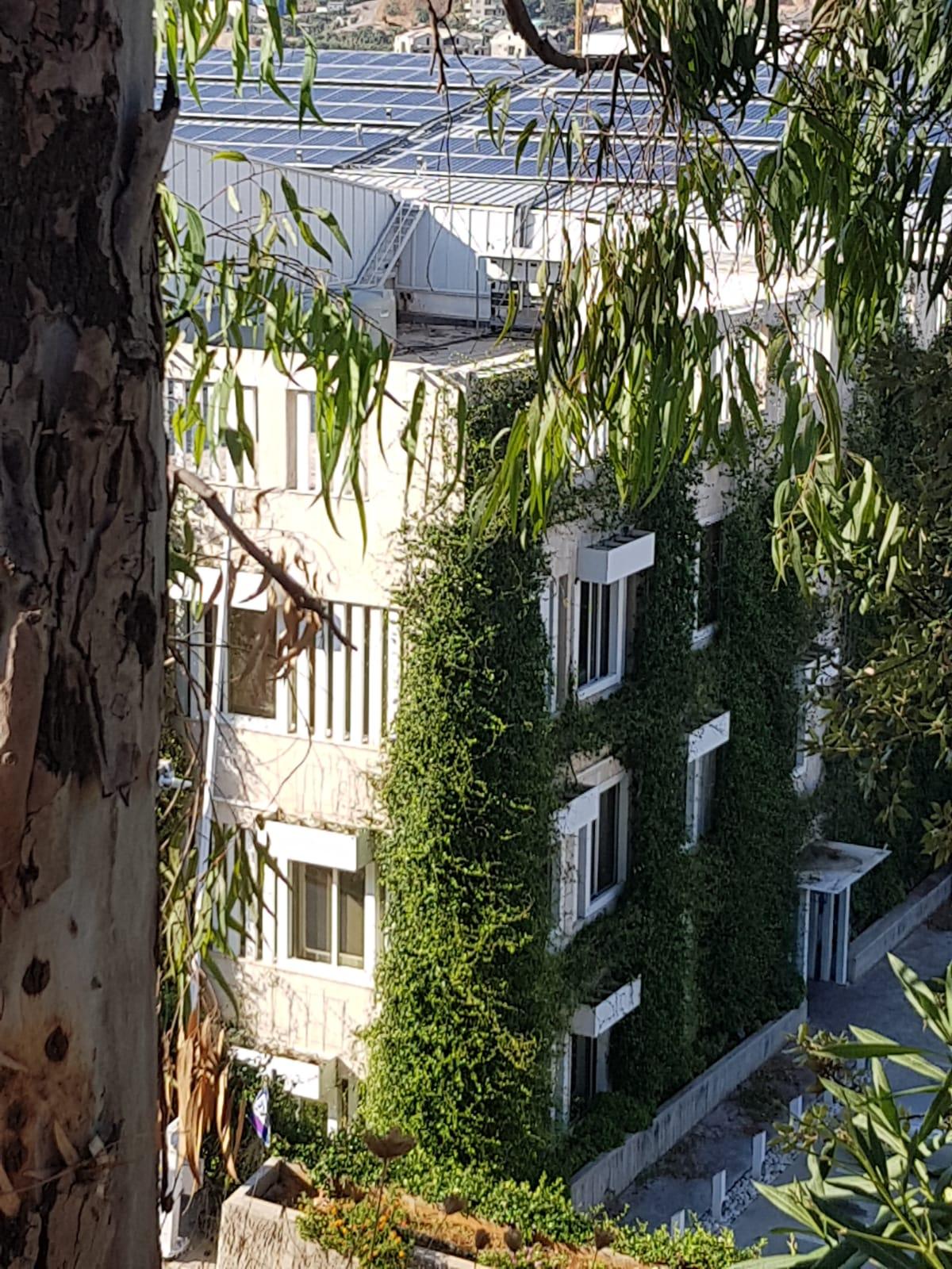 Tree-framed view of the green planted façade