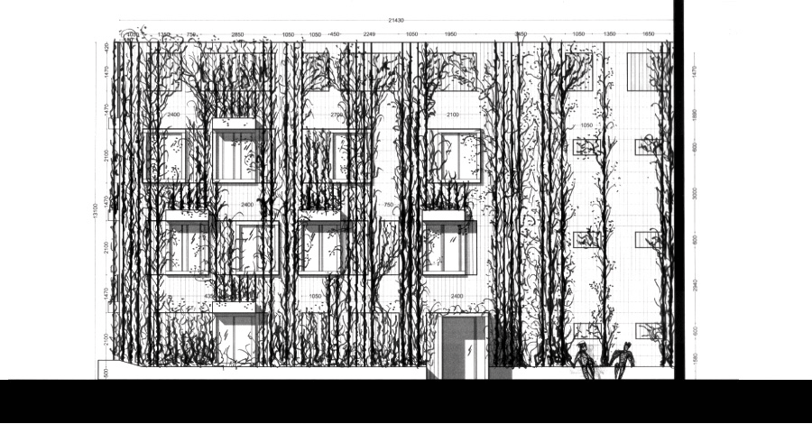 Elevation drawing of a multi-storey façade covered by climbing plants