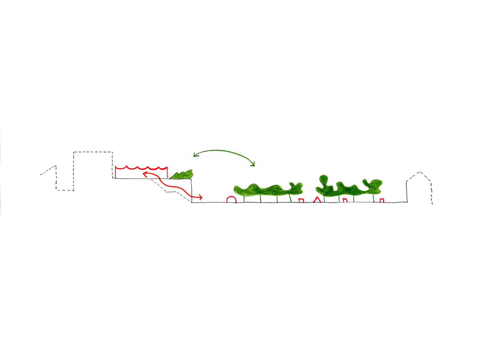 Landscape section linking a raised terrace to planted ground